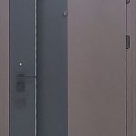 Двері вхідні Straj Entra Бронзовий браш/Бронзовий, 950x2040